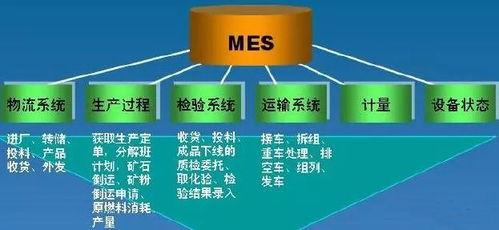 依托資源共享成果 一帶一路沿線企業(yè)工博會上尋軟件開發(fā)機遇